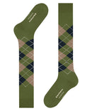 EdinburghKH21725_Cactus7684_5