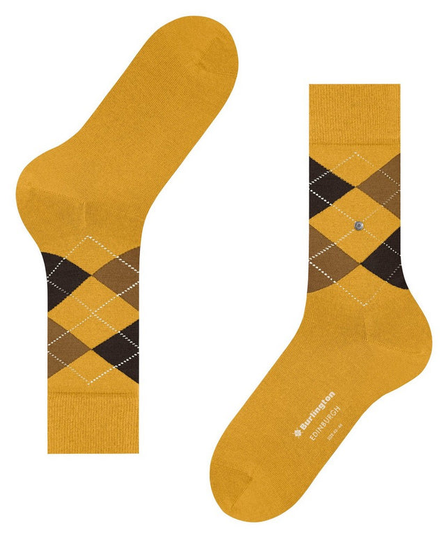 EdinburghSO21125_1314solar_2