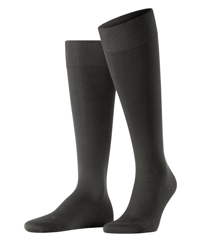 EnergizingCO15660_Brown_1