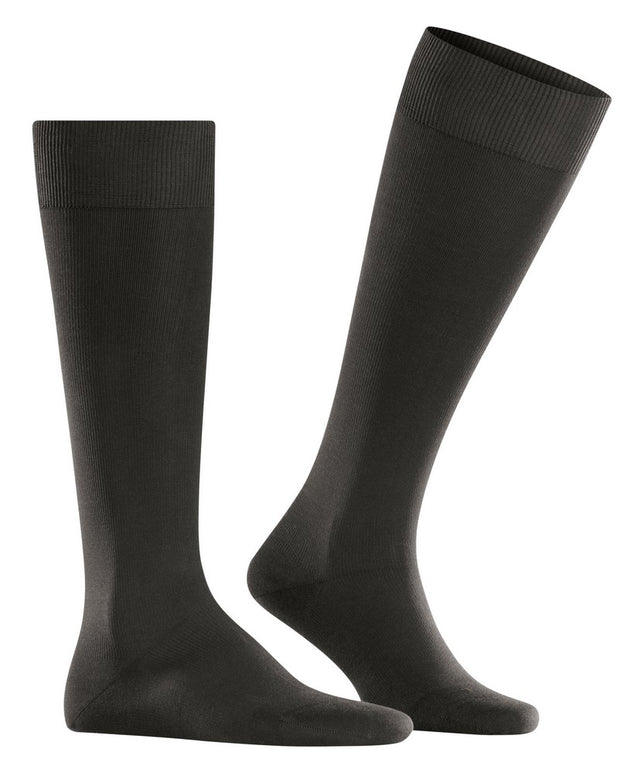 EnergizingCO15660_Brown_5