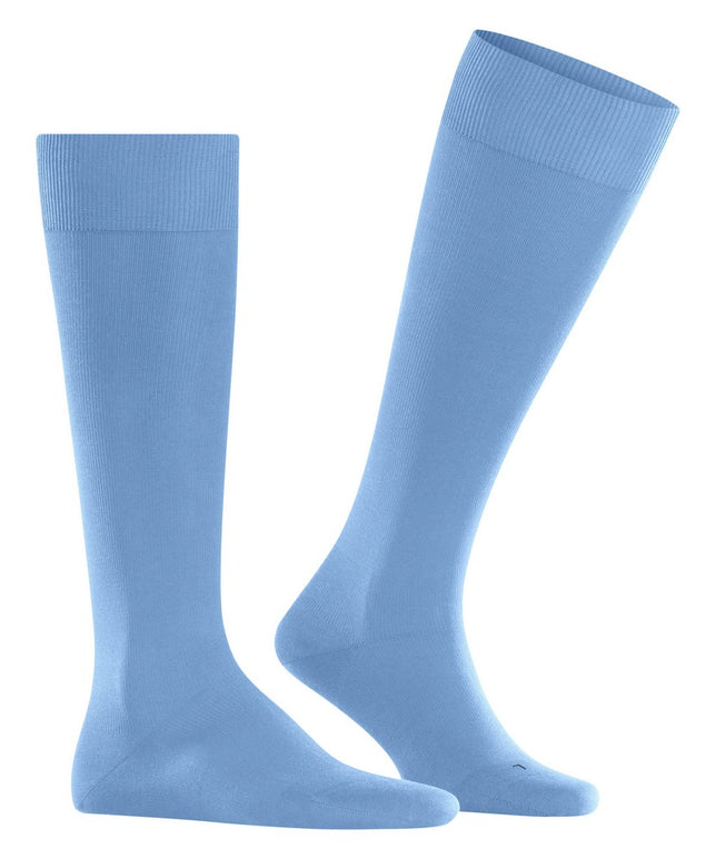 EnergizingCO15660_CornflowerBlue_5