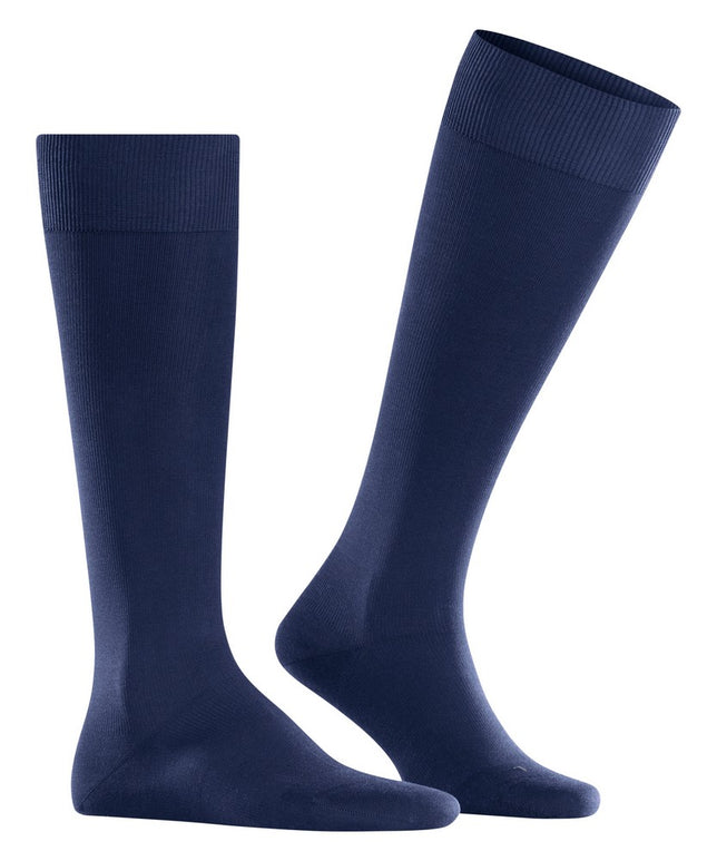 EnergizingCO15660_DeepBlue6418_5