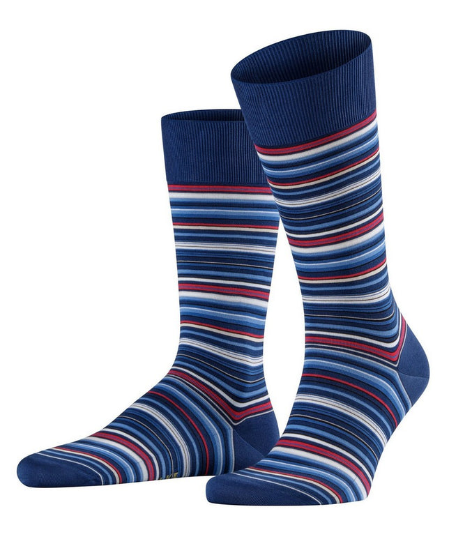 FALKEMicroblockSO14041_6000royalblue_1
