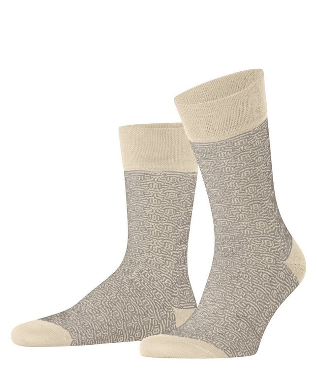 FALKESensTortoiseSO12552_Creme2050_1