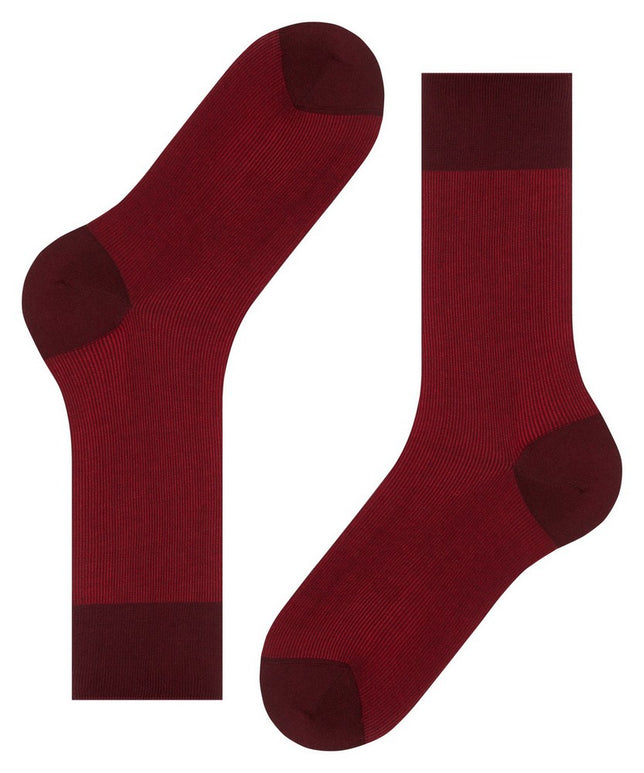 FineShadow13141_8596barolo_2