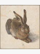HaasCH-YOH_Blue_5