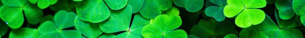 St Patrick's Day