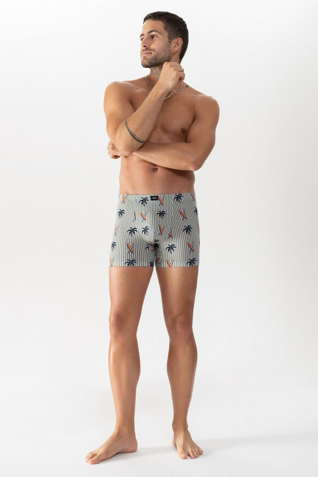LongShorty37381_580salvia_2