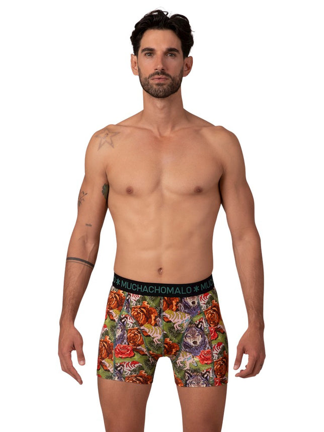 Men12-PackShortPrint_SolidU-Golden1010_07Pr_Bla_Blu_Blu_Gree_Gree_Blu_5