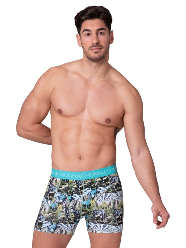 Men2-PackBoxerShortsCaptainDonkeyCAPTAINDONKEY1010_Print_Print_2
