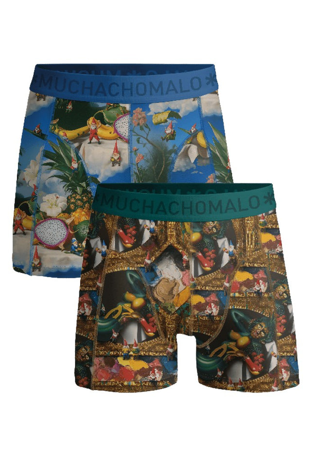 Men2-PackBoxerShortsFruitLifeFRUITLIFE1010_04Print_Print_1