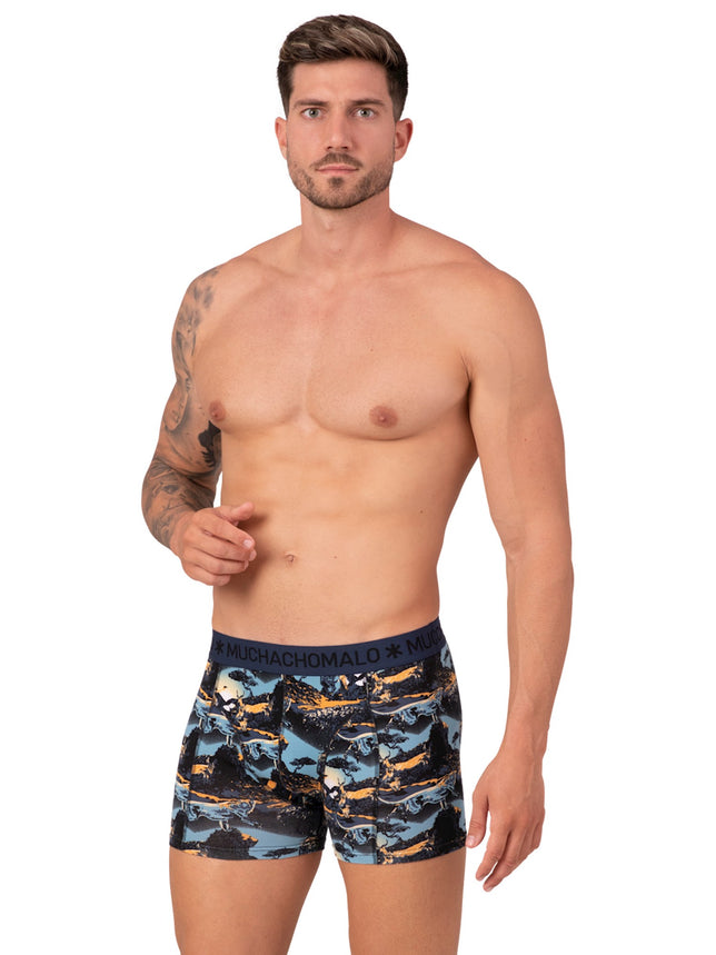Men2-PackBoxerShortsManLionMANLION1010_Print_Print_2