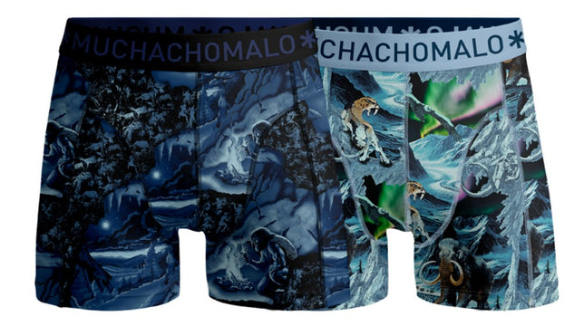 Men2-PackBoxerShortsPrehistoryPREHISTORY1010_04Print_Print_1