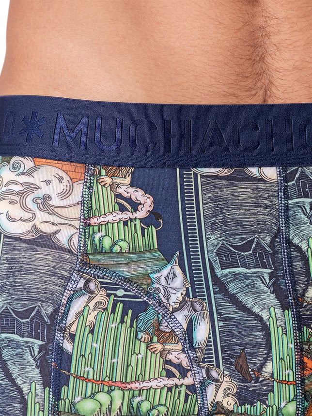 Men2-PackBoxerShortsPussbootsPUSSBOOTSWIZARDOZ1010_04Print_Print_4