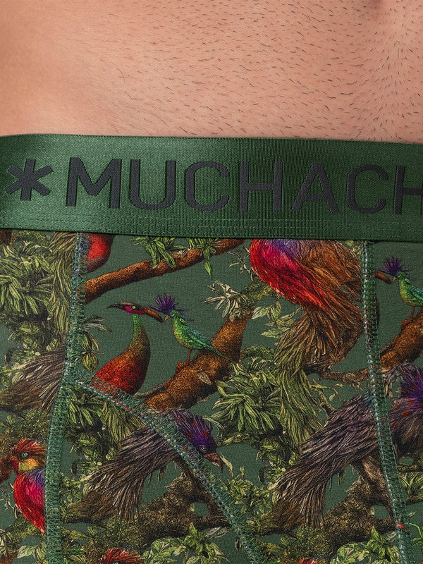 Men2-PackShortPrint-s2PBIRDTREE1010_Print_Green_4