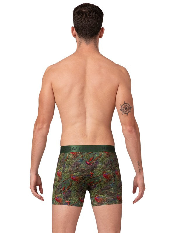 Men2-PackShortPrint-s2PBIRDTREE1010_Print_Green_6