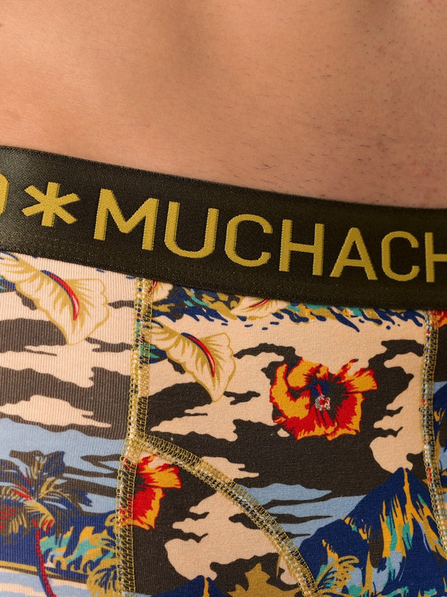 Men2-PackShortsBarettaHawai2PBARETTA1010_Print_Green_5