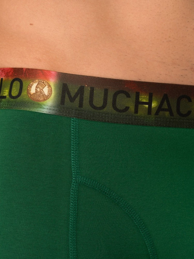 Men2-PackShortsBobmaloQueen2PBOBQUE1010_Print_Green_6