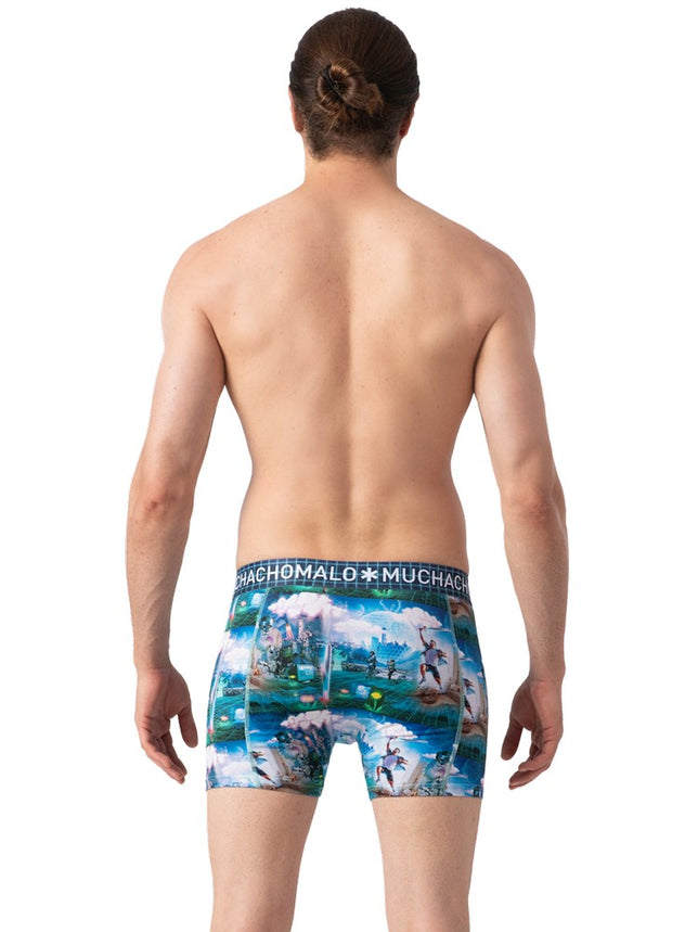 Men2-PackShortsElebudhaVirtualreality2PBUDAVIR1010_06Print_Blue_3