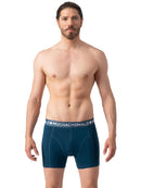 Men2-PackShortsElebudhaVirtualreality2PBUDAVIR1010_06Print_Blue_6