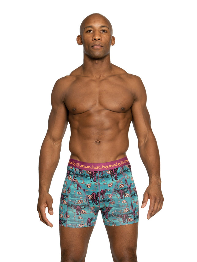 Men2-packShortsArabicBeauty2PARABC1010_PrintAubergine_2