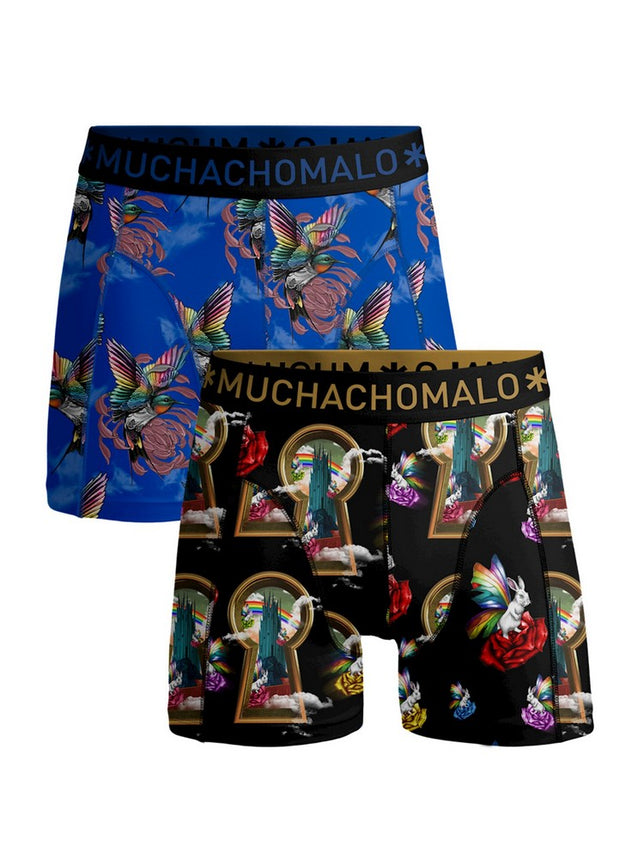 Men2_PackShortsOverTheRainbowOVERTHERAIN1010_Print_Print_1