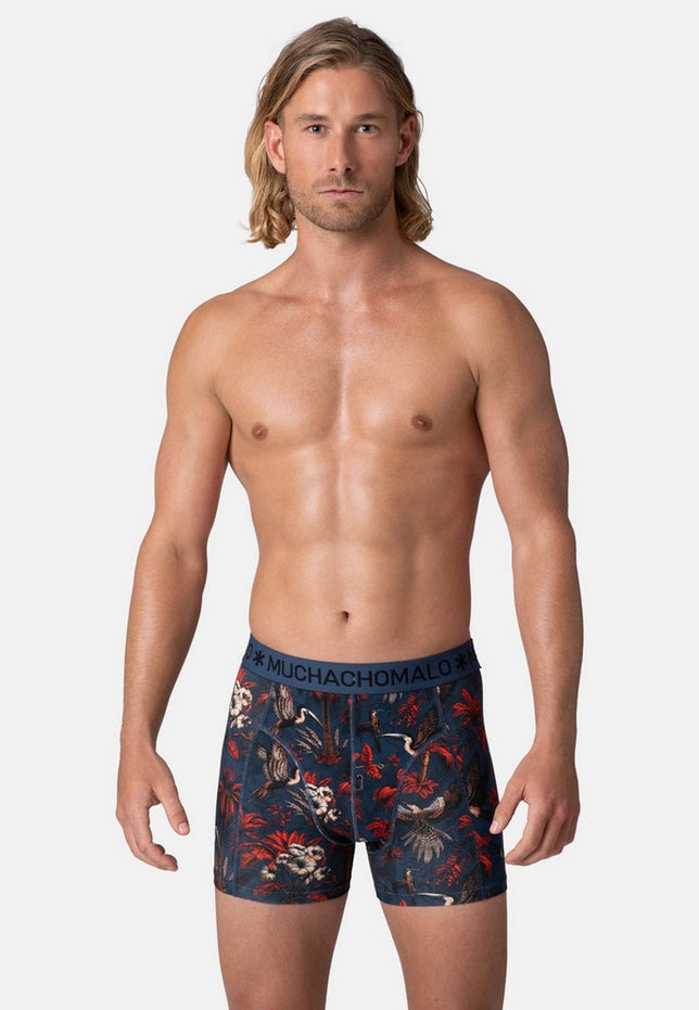 Men3-PackBoxerShortsPALMBIRDS1010_01Print_Print_Solid_2