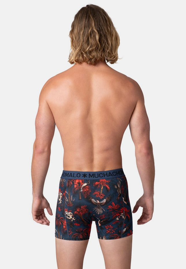 Men3-PackBoxerShortsPALMBIRDS1010_01Print_Print_Solid_3