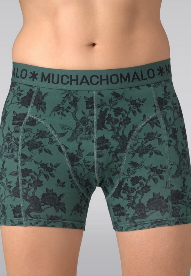 Men3-PackBoxerShortsTreefriendsU-TREEFRIENDS1010_01Print_Print_Solid_3