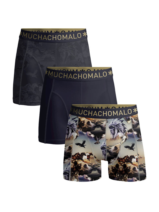 Men3-packShortPrint_SolidU-BEAR1010_PrintPrintBlue_1