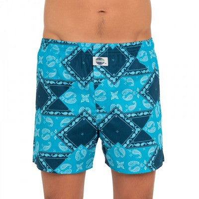 PaisleyII192237_Multicolor_1