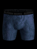 PerformanceBoxer2P10002358_BluePrint_4
