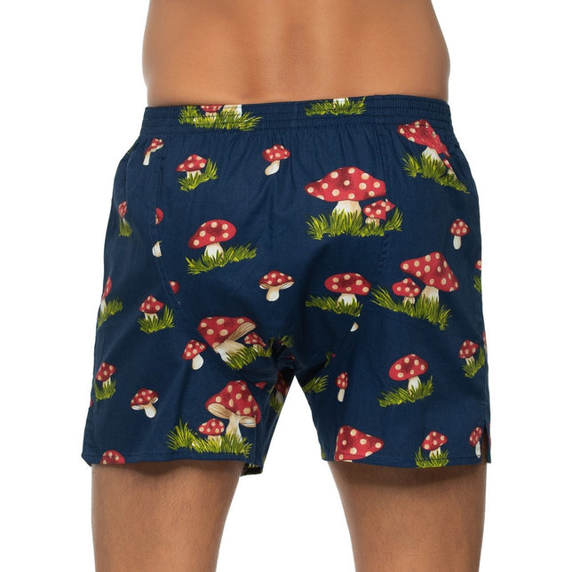 Pilz192210_999kleur_2