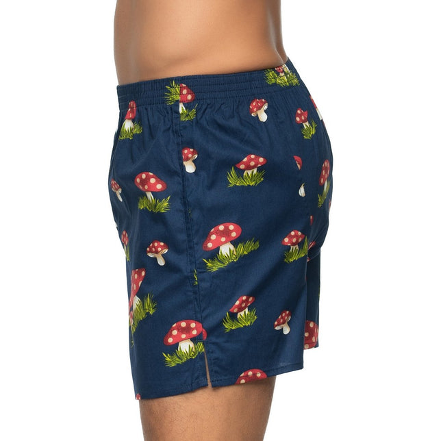 Pilz192210_999kleur_3
