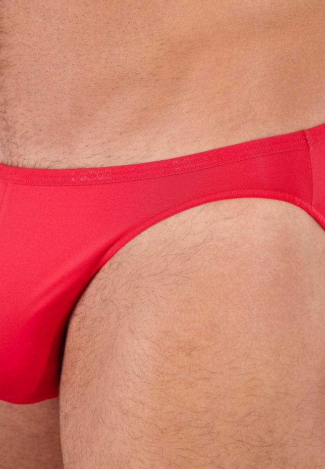 PlumesMicrobrief404756_404063Red_4