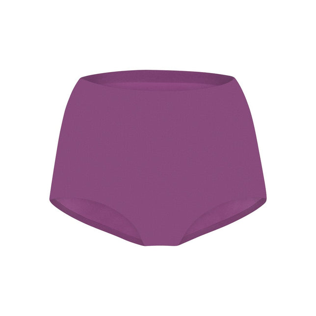 Secrets high waist brief 30176