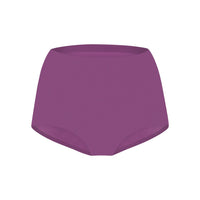 Secrets high waist brief 30176