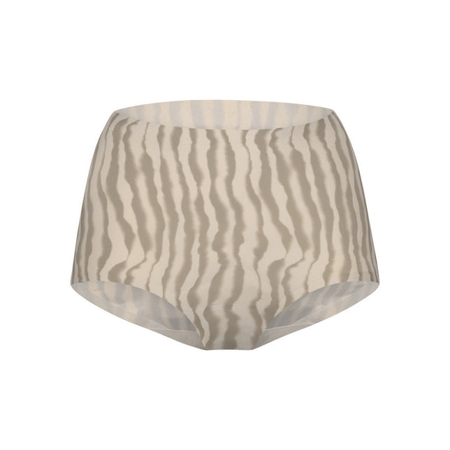 Secretshighwaistbrief30176_6128fadedlines_1