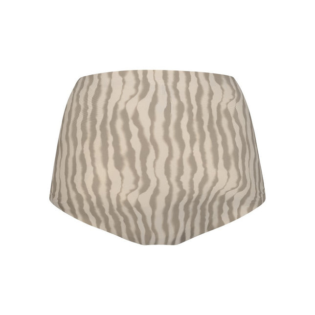 Secretshighwaistbrief30176_6128fadedlines_2