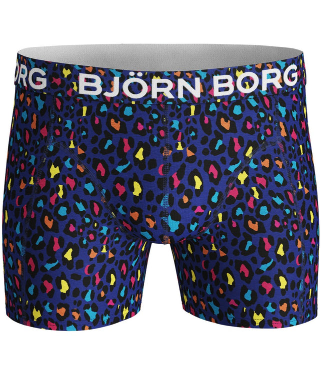 ShortsBBEnergy1931-1229_SurfTheWeb_2