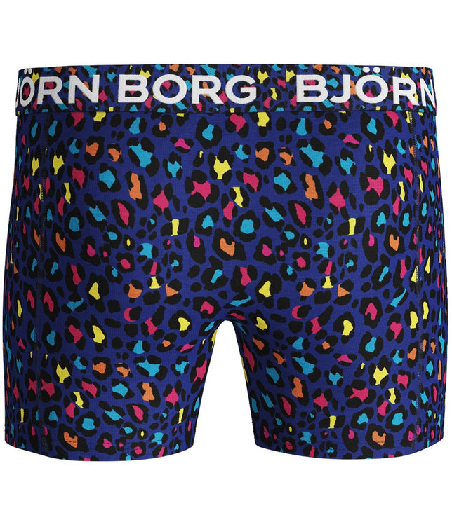 ShortsBBEnergy1931-1229_SurfTheWeb_3