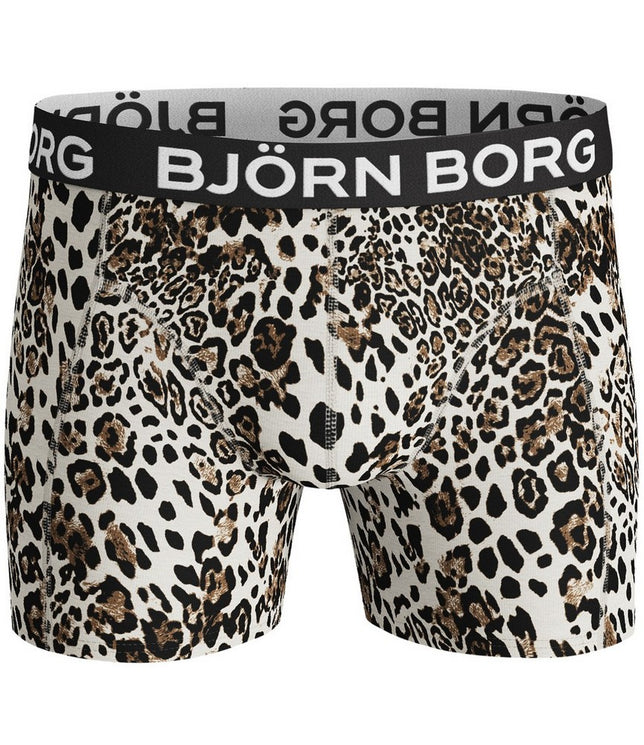 ShortsSammyBBLeo2031-1320_JetStream_2