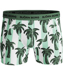 ShortsSammyBBPalmstripe3P2111-1157_BlueTint_4
