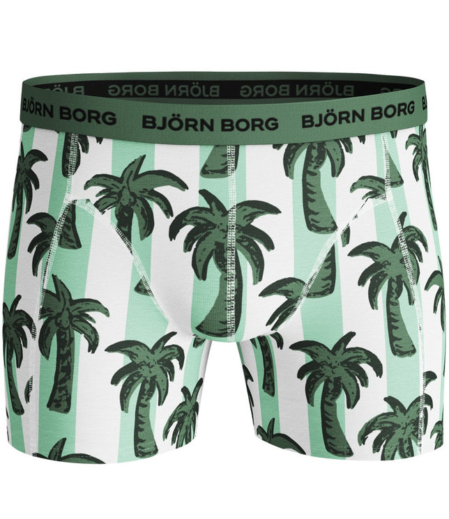 ShortsSammyBBPalmstripe3P2111-1157_BlueTint_2