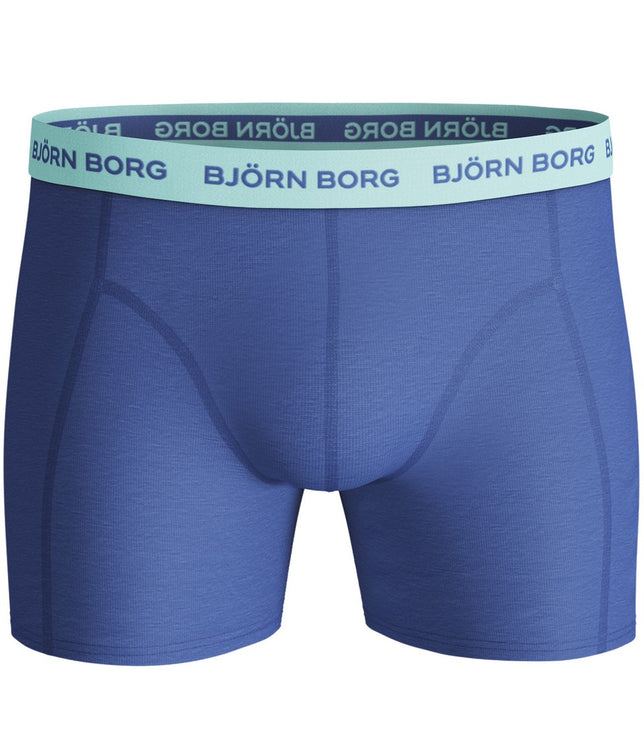 ShortsSammyBBPalmstripe3P2111-1157_BlueTint_3