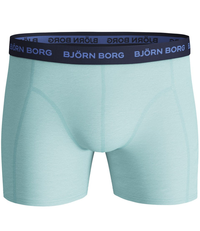 ShortsSammyBBPalmstripe3P2111-1157_BlueTint_4