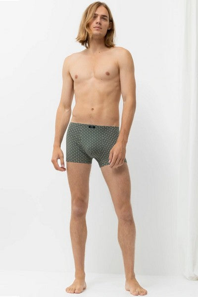 Shorty37289_776leaf_2