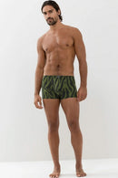 Shorty37301_776leaf_3