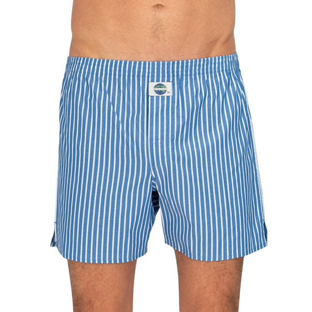 Stripe192267_Blue_White304_1