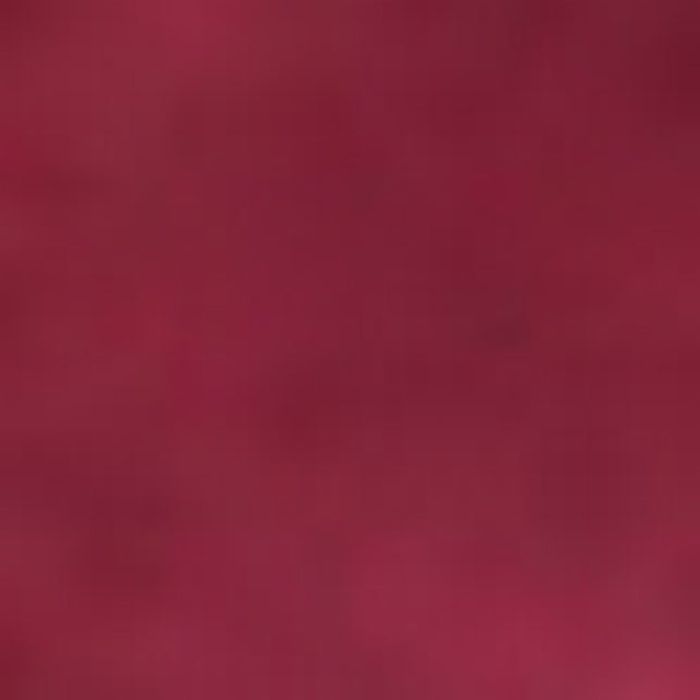 TK2ExploreWoolWomen16395_8593burgundy_2